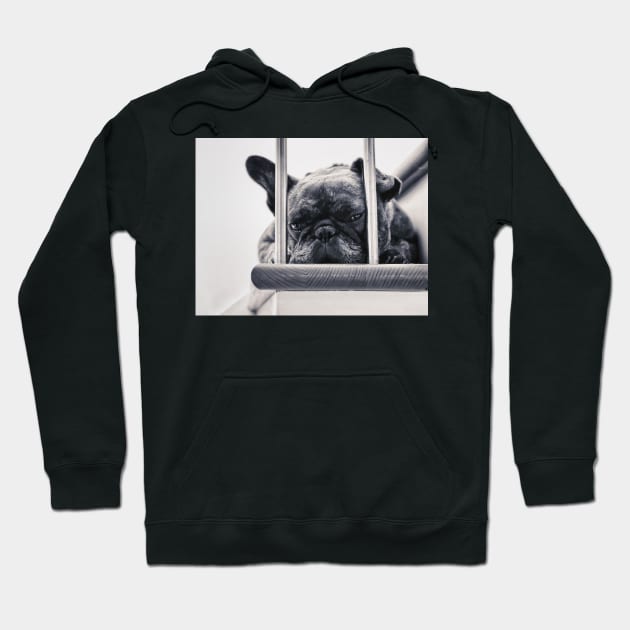 Frenchie Hoodie by goodieg